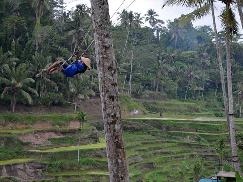 Bali Arbres - Voyage sur mesure
