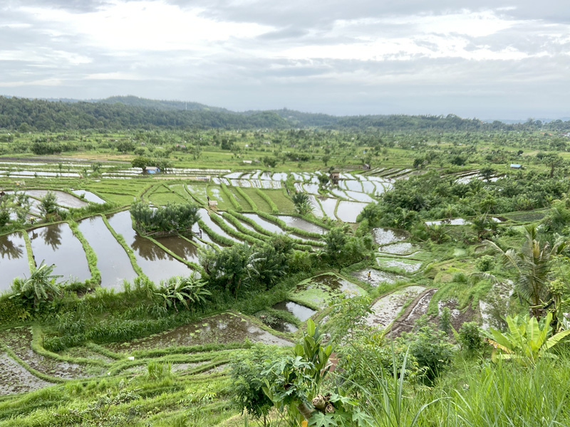 Bali Rizières - Voyage sur mesure