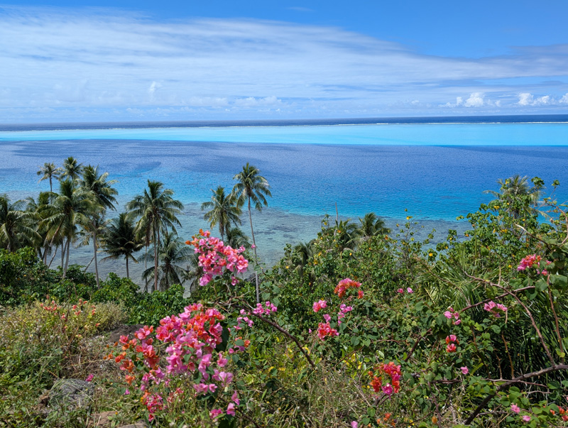 Polynésie plage fleurs - Voyage sur mesure